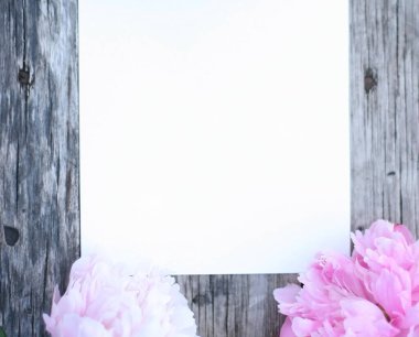 Pion çiçekli üst görünüm arkaplanı. Çiçek kompozisyonu. Bitkilerle takıl. Flowers beyaz masada yatıyordu. Kadın günü konsepti. Metin için kopyalama alanı. 