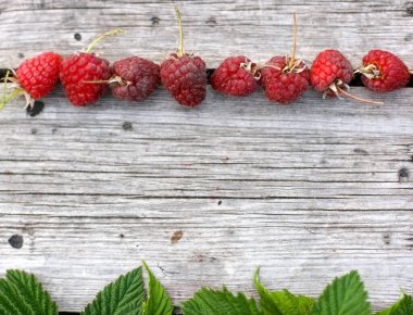 Ahşap bir arka planda ahududu. Kopyalama alanı olan pankart boyutu. Olgun böğürtlenlerin üst görüntüsü. Düz yatıyordu. Böğürtlenlere odaklan