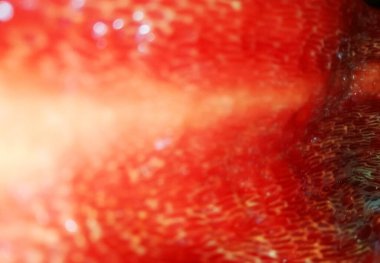 Soyut kırmızı arka plan fotoğraf örtüsü. Vintage Retro Looking için Ekran Kipi. Trend tasarımı odaklı olmayan etki. Sancak boyutu