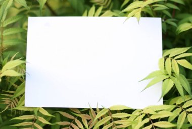 Yeşil yaprakların kağıt kart modeli. Çiçeklerden ve kağıt kart notlarıyla yapılmış yaratıcı bir düzen. Düz yatıyordu. Doğa konsepti.