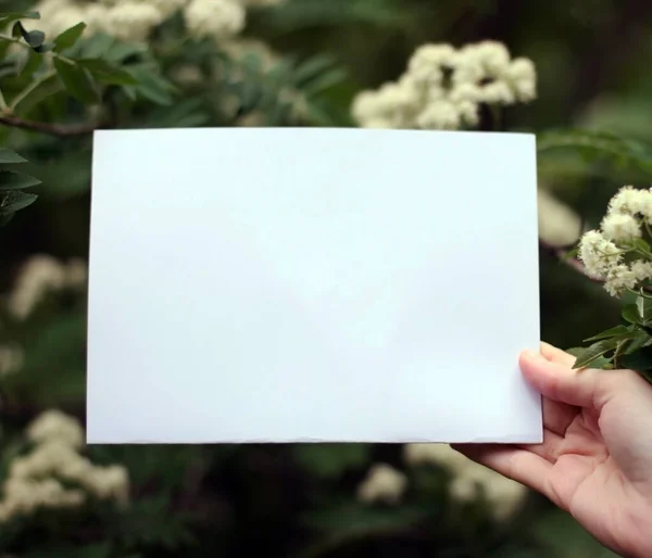 用空白的纸卡写着花和叶子环绕的字条用鲜花打扮一番 — 图库照片