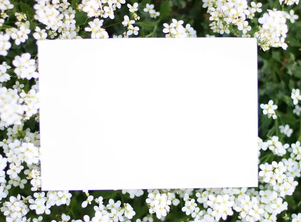 Pusta Kartka Papieru Ramką Delikatnych Białych Kwiatów Zielonym Tle Góry — Zdjęcie stockowe
