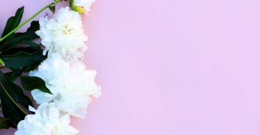 Sahte davetiye, boş kağıt tebrik kartı, pembe masa ve şakayıklar. Çiçek arkaplanı. Düz yatış, üst görünüm.