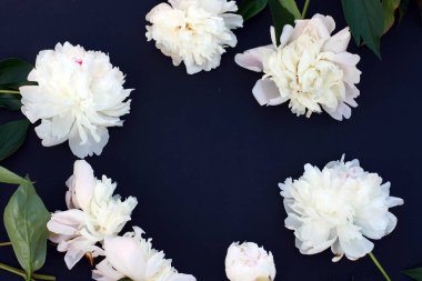 Çiçek kompozisyonu. Siyah tebeşirle kaplanmış beyaz şakayık çiçeklerinden yapılmış çerçeve. Düz yatış, üst görünüm.