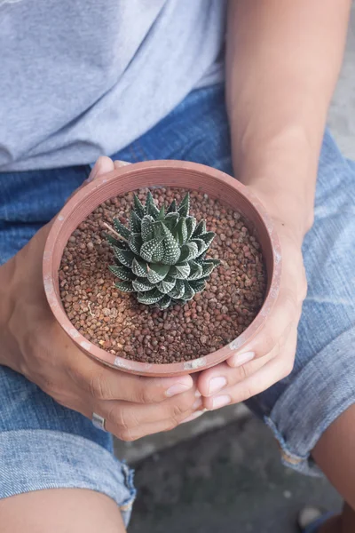 Man die een pot van cactus — Stockfoto