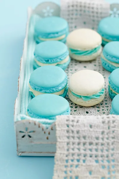 Macarons on a tray — Stock Photo, Image