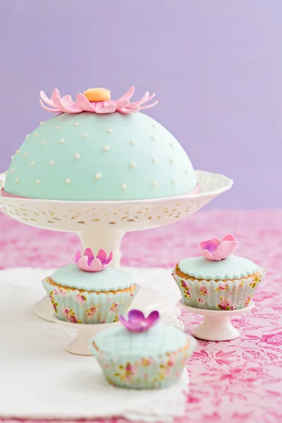Bolo decorado e cupcakes — Fotografia de Stock