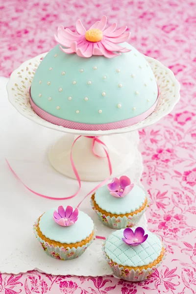 장식 된 케이크와 컵 케이크 — 스톡 사진