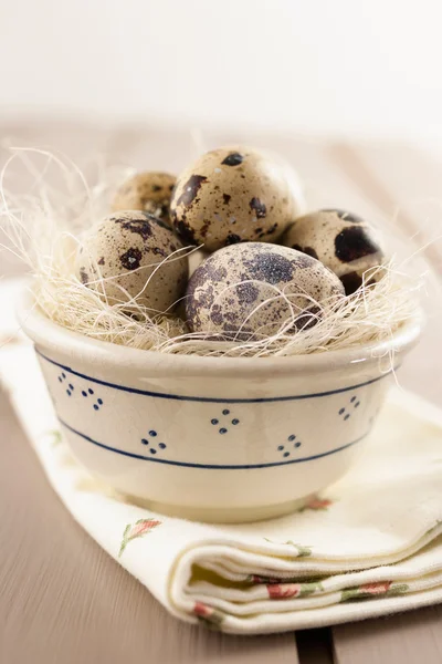 Huevos de codorniz en un bol — Foto de Stock