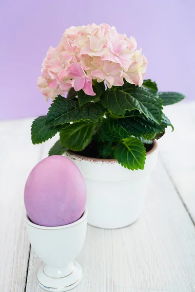 Påskägg och en blomma — Stockfoto