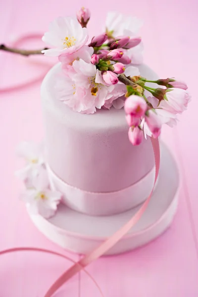 Pink cake with cherryblossoms — Stock Photo, Image