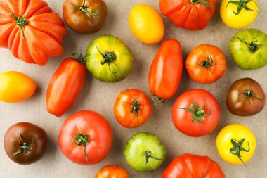 Çeşitli hatıra domates