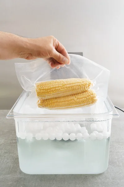 Corncobs yemek sous vide