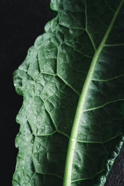 Cavolo nero black kale