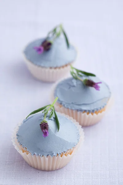 Three lavender cupcakes — Stock Photo, Image