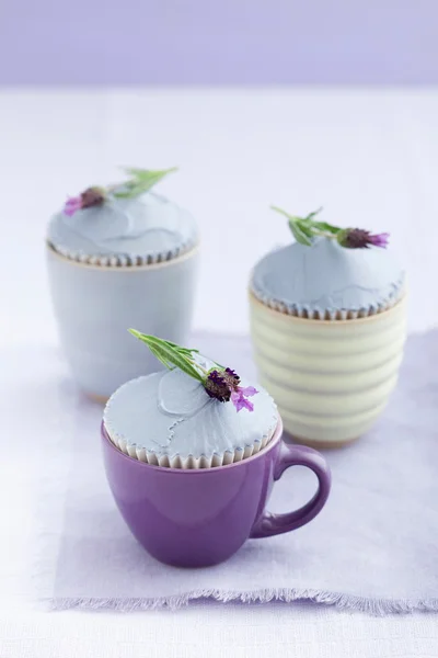 Three lavender cupcakes — Stock Photo, Image