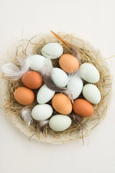 Eggs in a nest — Stock Photo, Image