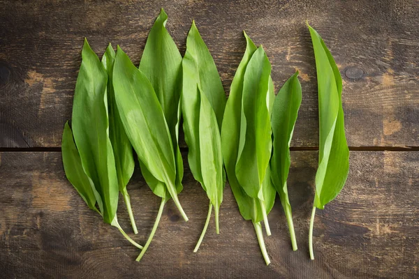 Bärlauch — Stockfoto