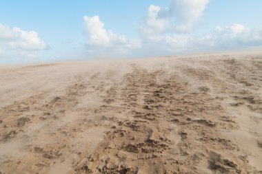 Sandstorm in Denmark clipart