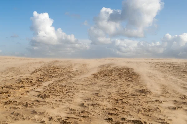 Tempestade de areia em denmark — Fotografia de Stock