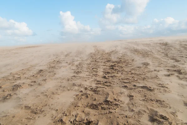 Tempête de sable au Danemark — Photo