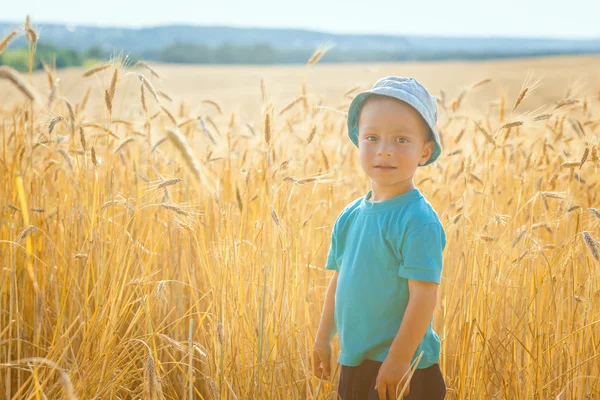 Fröhlicher kleiner Junge hat Spaß im Weizen — Stockfoto