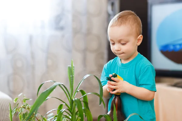 Cute baby boy — Stock Photo, Image