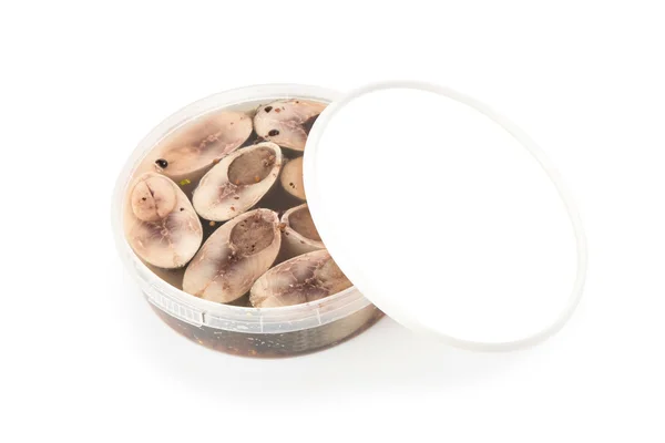 Gezouten haring in een kunststof pot — Stockfoto