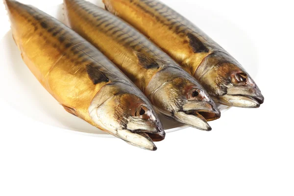 Hot smoked mackerel on plate — Stock Photo, Image