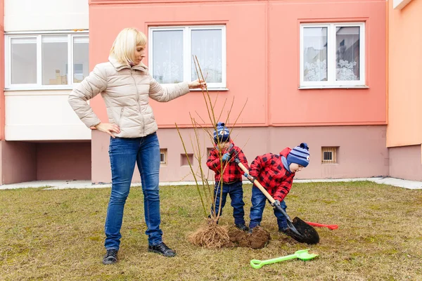 Mother and two sons thrown tree — Stock Photo, Image