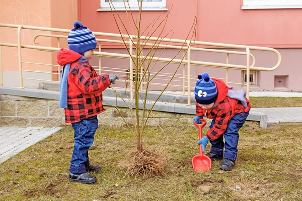 Twin brothers thrown tree — Stock Photo, Image