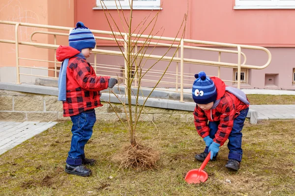 Twin brothers thrown tree — Stock Photo, Image