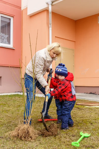 Mother and two sons thrown tree — Stock Photo, Image