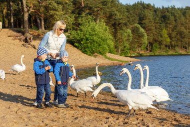 Anne ve iki kardeş beslemeleri kuğu ikiz