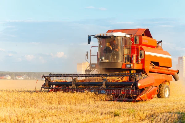 Combine harvester working — Stock Photo, Image