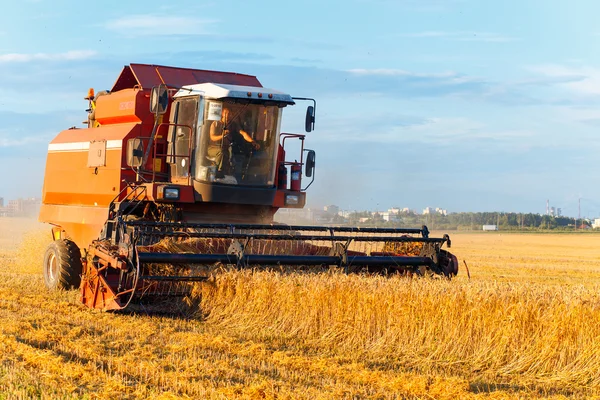 Combineren maaimachine werkt — Stockfoto