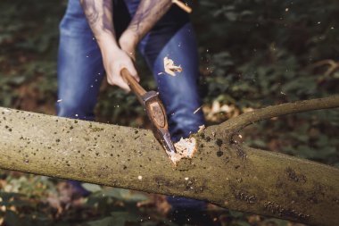 Oduncu balta tarafından ağaç kesmek.