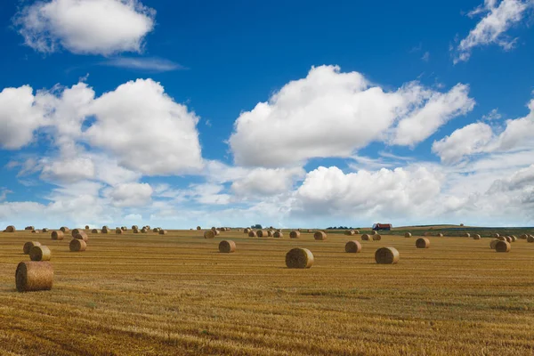 Blick Auf Ein Weites Abgeerntetes Feld Mit Großen Gelben Strohballen — Stockfoto