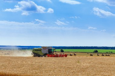 Grodno, Belarus - 25 Temmuz 2020: mavi gökyüzünün altındaki buğday tarlasında çalışan hasatçıyı bulutlarla birleştirin