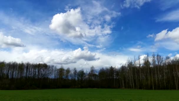 Time Lapse Beautiful Sky Clouds Background Sky Clouds Weather Nature — Stock Video