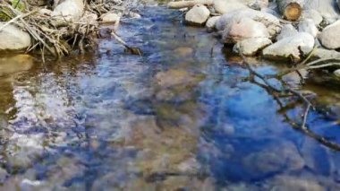 Dağlarda kayalar ve ağaç dalları arasında akan küçük bir dere. Yüksek kaliteli HD görüntüler