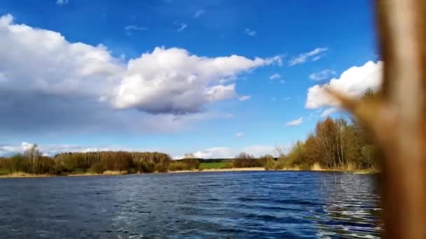 하늘에 갈대가 아름다운 티몰라제 스톡 비디오