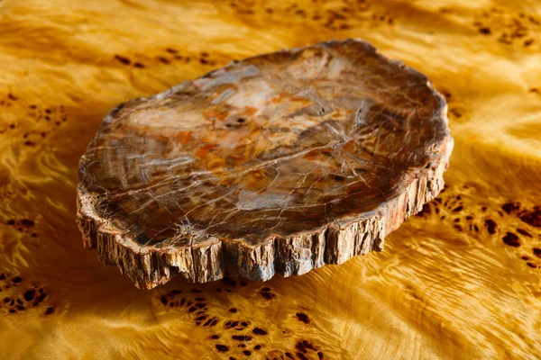 Section Ancient Petrified Wood Polished Impregnated Epoxy Resin Used Tray — Stock Photo, Image