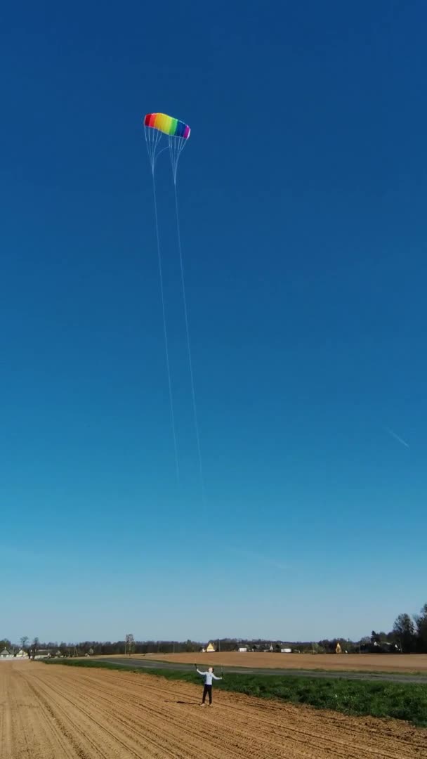 一个快乐男孩在犁地里向天空发射一个明亮的彩虹风筝的垂直视频 在田里和风一起玩 夏天的概念 4K镜头 — 图库视频影像