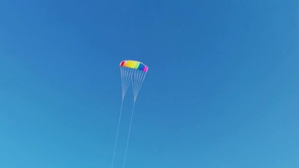 Menino Feliz Lança Papagaio Íris Brilhante Céu Campo Arado Brincando — Vídeo de Stock