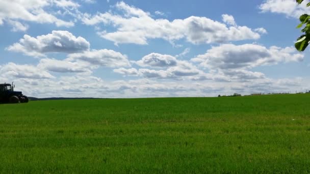 Распыление Зеленого Пшеничного Поля Тракторе Сельскохозяйственный Трактор Опрыскивает Поле Опрыскивателем — стоковое видео