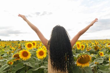 Sarı elbiseli, siyah kıvırcık saçlı genç bir kadın. Ayçiçeği tarlasında kalıyor, saçlarını ve sırtını gösteriyor.