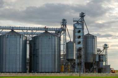 Modern Granary asansörü ve tohum temizleme hattı. Tarım işleme ve üretim tesisinde gümüş silolar depolama ve işleme için tarım ürünleri, un, tahıl ve tahıl kuru temizleme.