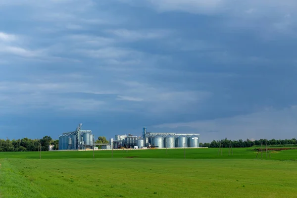 Moderne Graanlift Zaad Reinigingslijn Zilversilo Van Landbouwverwerkings Productiebedrijven Voor Opslag — Stockfoto