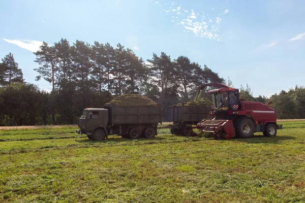 Mähdrescher Erntet Ein Grünes Feld Und Entlädt Weizen Für Silage — Stockfoto